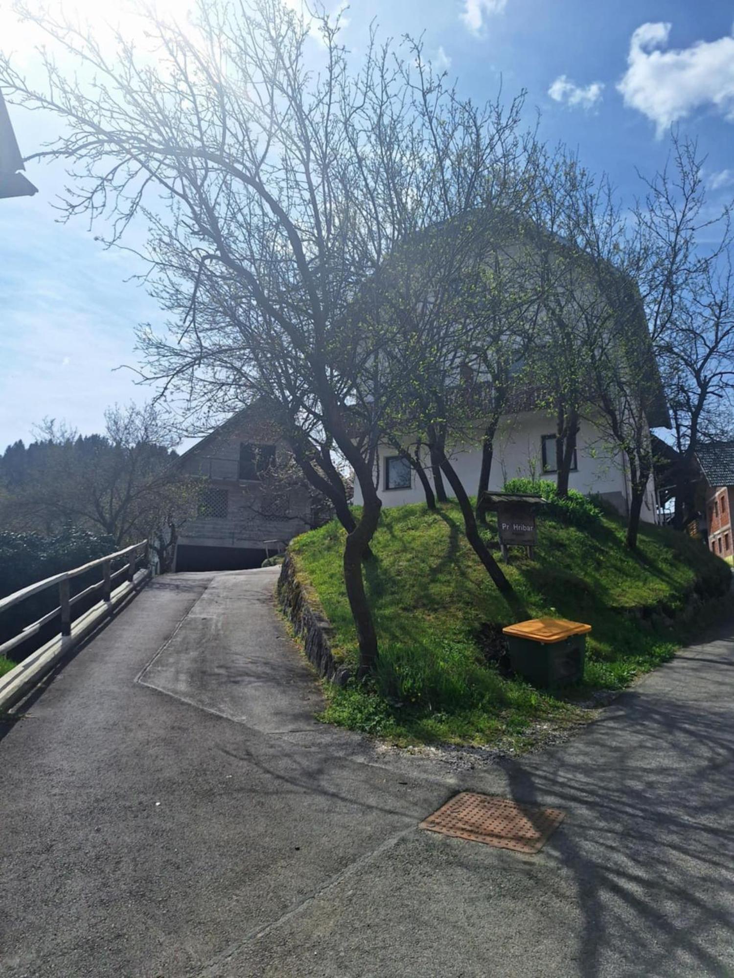 דירות Zgornje Gorje Pr' Hribar מראה חיצוני תמונה